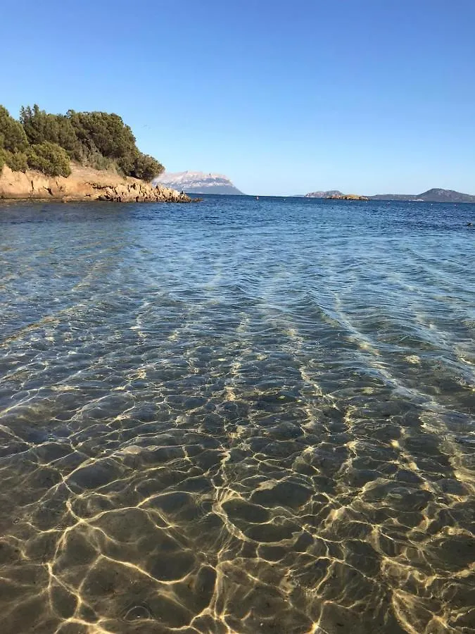 Villa Borea Golfo Aranci Holiday home