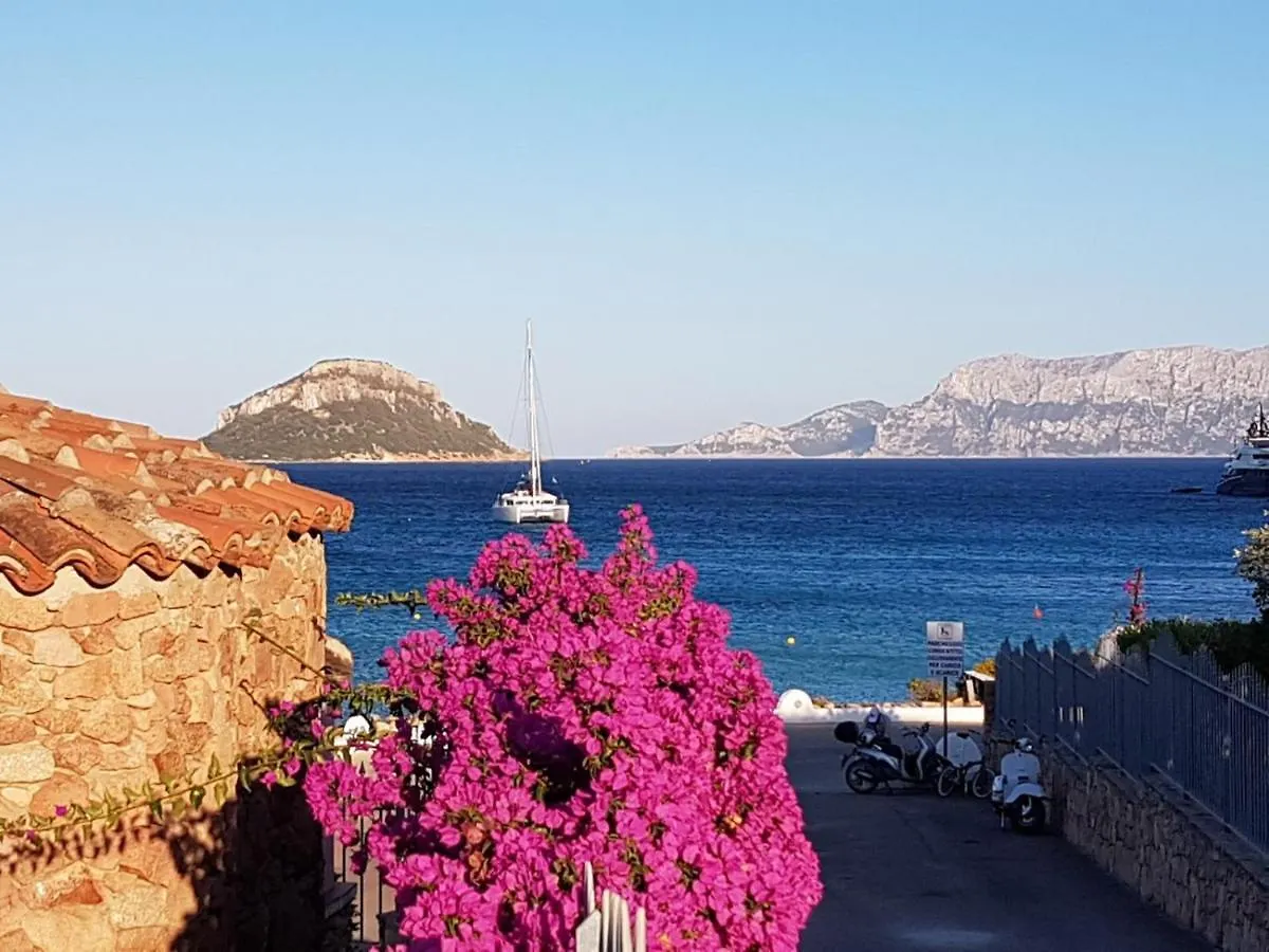 Villa Borea Golfo Aranci Holiday home